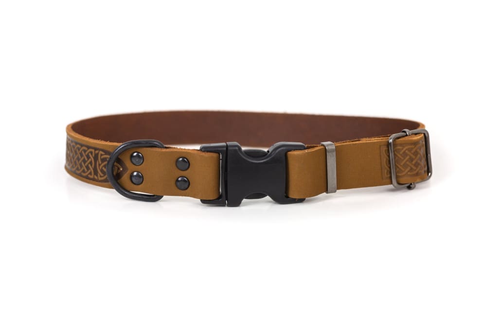 Celtic Sport Earth Brown Leather Dog Collar - Dog Collars