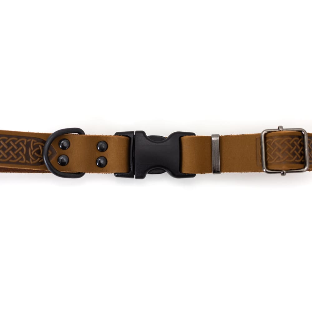 Celtic Sport Earth Brown Leather Dog Collar - Dog Collars