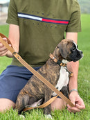 Celtic Sport Khaki Leather Dog Leash - Dog Leash - Euro
