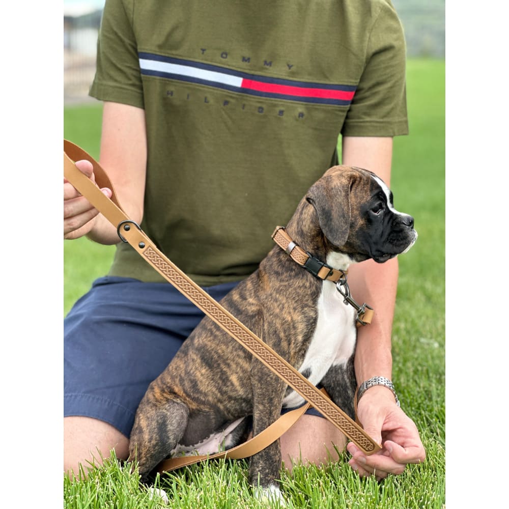 Celtic Sport Khaki Leather Dog Leash - Dog Leash - Euro