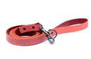 Celtic Sport Leather Collar and Leash Set - Dog Collars