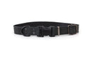 Celtic Sport Midnight Black Leather Dog Collar - Dog