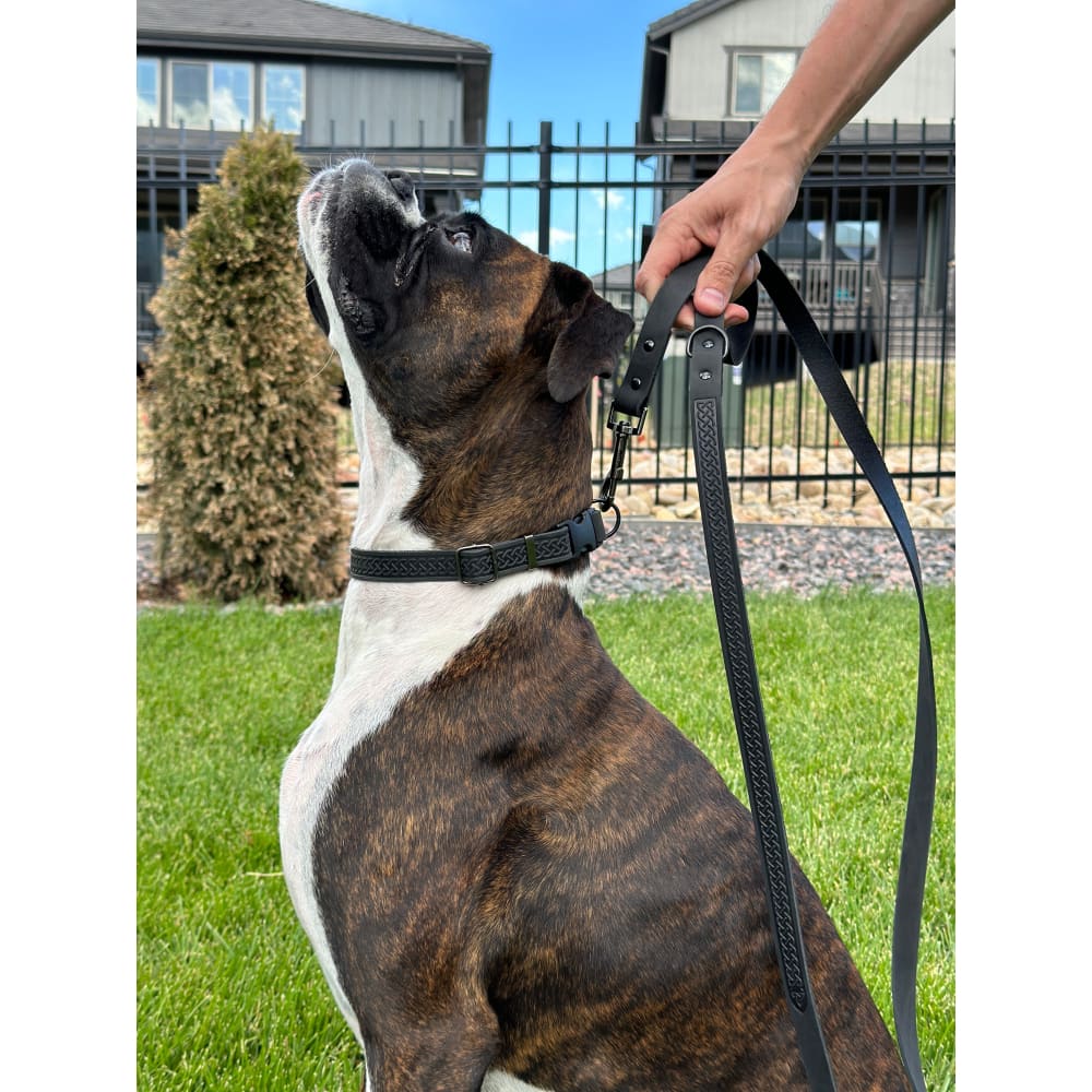 Celtic Sport Midnight Black Leather Dog Leash - Dog Leash