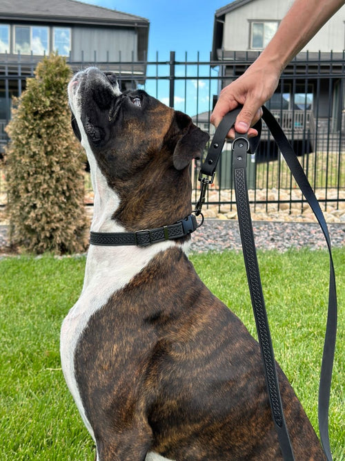 Celtic Sport Midnight Black Leather Dog Leash - Dog Leash