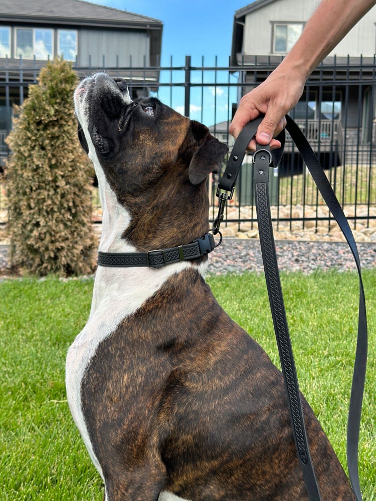Celtic Sport Midnight Black Leather Dog Leash - Dog Leash
