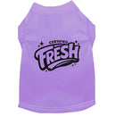 Certified Fresh | Special Buy Dog Shirt - Funny Dog Shirts