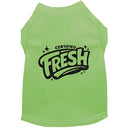 Certified Fresh | Special Buy Dog Shirt - Funny Dog Shirts