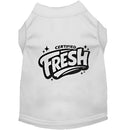 Certified Fresh | Special Buy Dog Shirt - Funny Dog Shirts