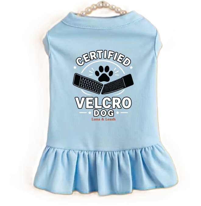 Light Blue / XS (0-3Lbs.)