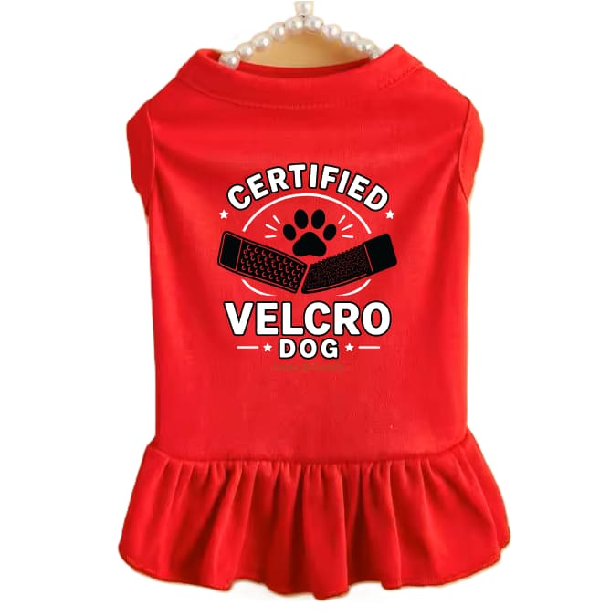 Red / XS (0-3Lbs.)