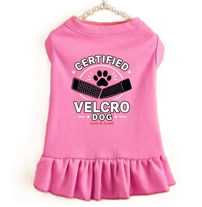 Certified Velcro Dog Dress