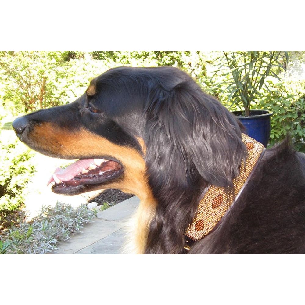 Cheetah Beaded Dog Collar - Dog Collars - Maasai
