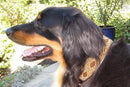 Cheetah Beaded Dog Collar - Dog Collars - Maasai