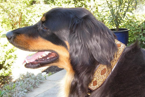 Cheetah Beaded Dog Collar - Dog Collars - Maasai