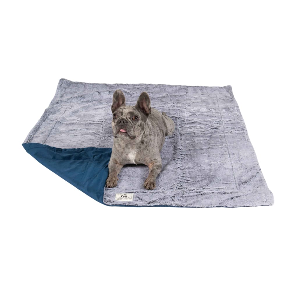 Blue / Medium