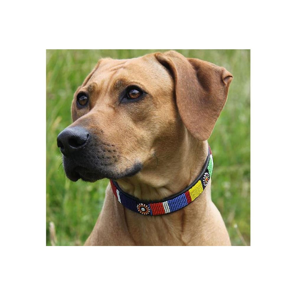 Circle of Life Beaded Dog Collar - Dog Collars - Maasai