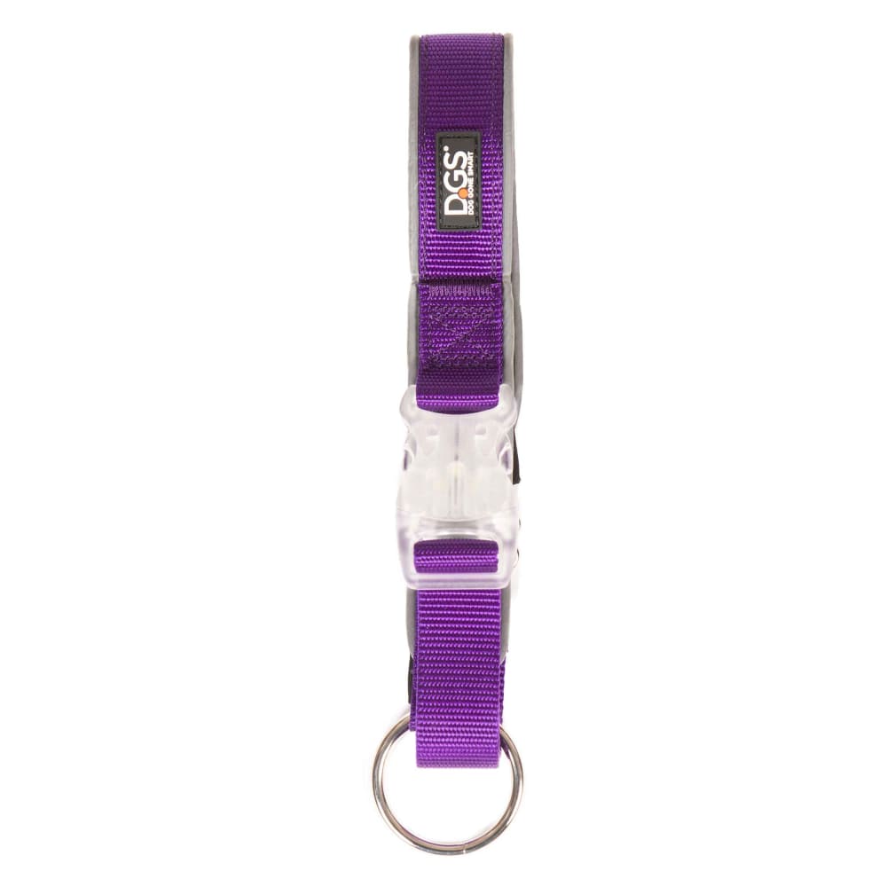 DGS Comet Rechargeable Light Up Dog Collar - Dog Collars