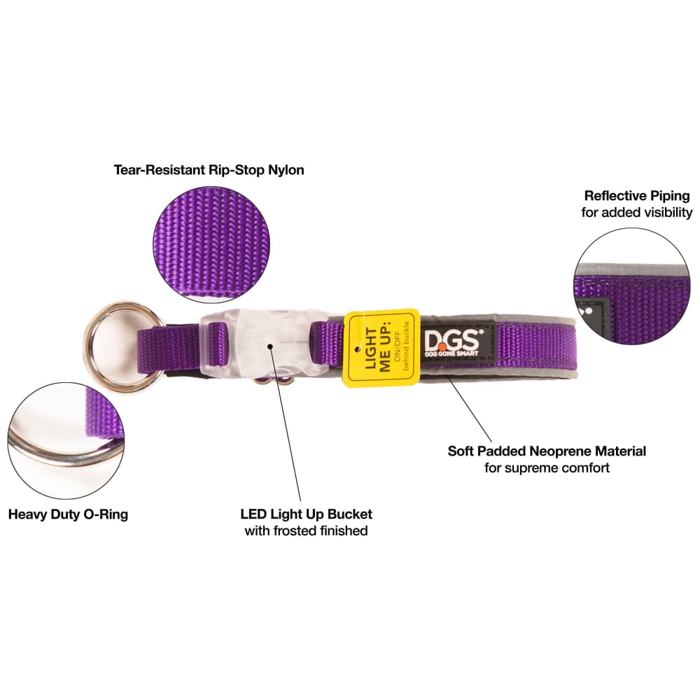 DGS Comet Rechargeable Light Up Dog Collar - Dog Collars