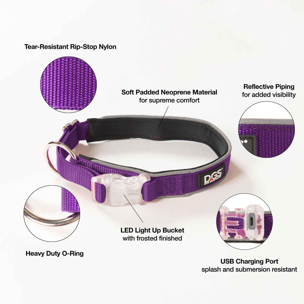 DGS Comet Rechargeable Light Up Dog Collar - Dog Collars