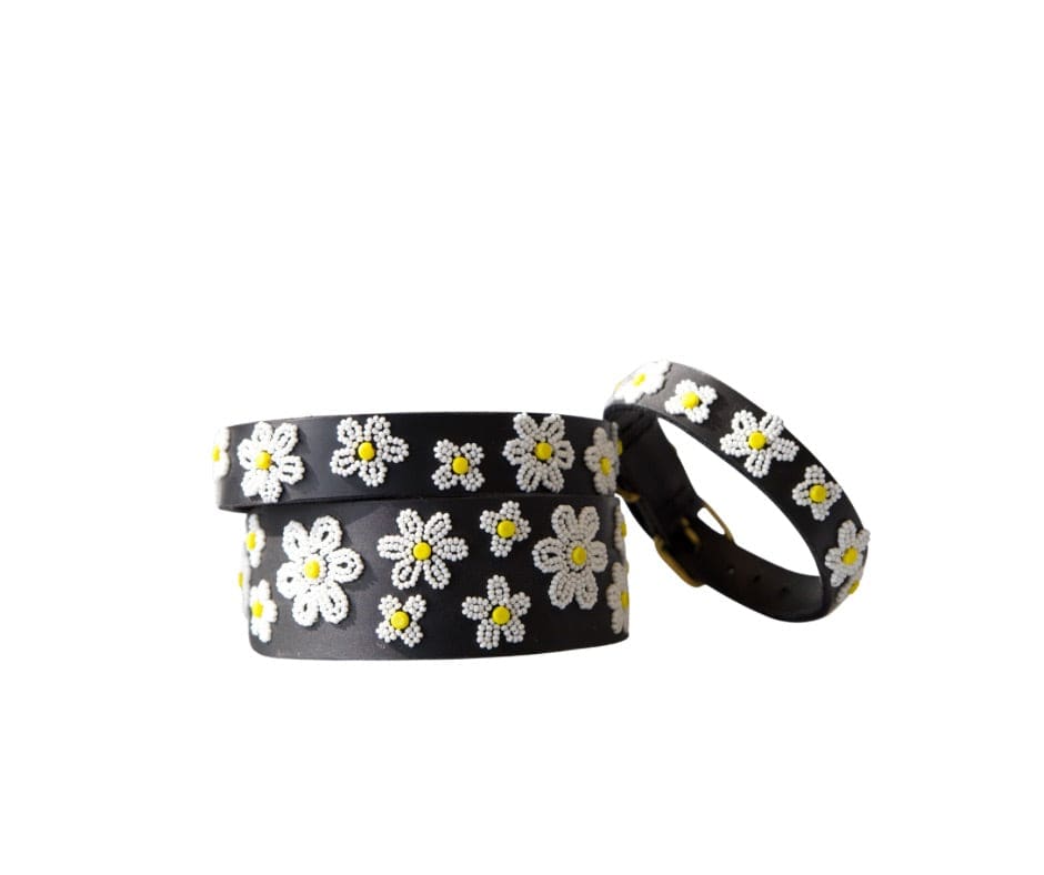 Daisies Beaded Dog Collar