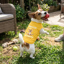 Discipline Was Attempted Dog Shirt - Funny Dog Shirts