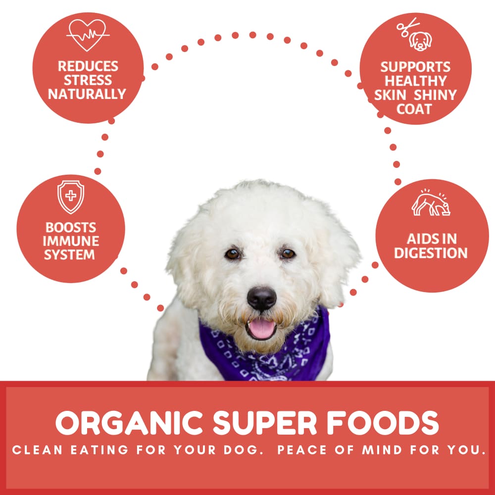 Dog Mamma’s Organic Apple Cranberry Recipe - USDA Organic