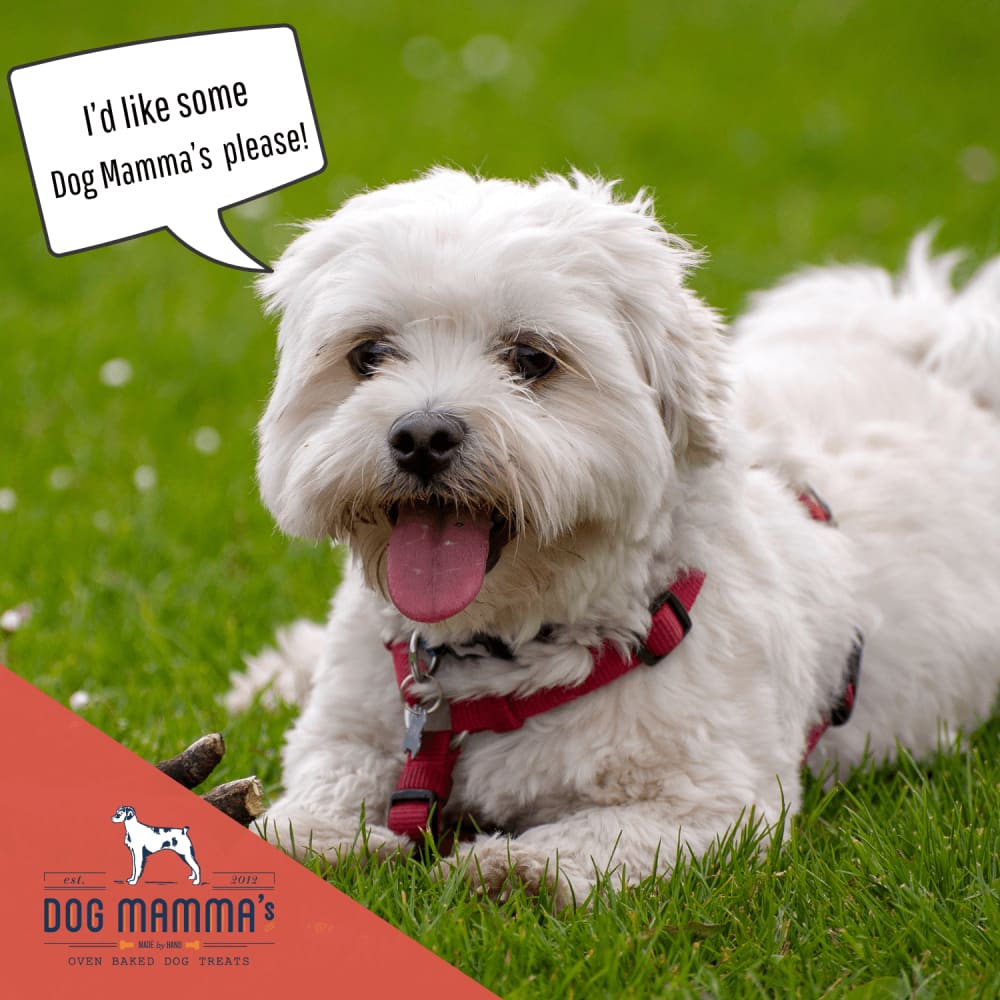 Dog Mamma’s Organic Apple Cranberry Recipe - USDA Organic