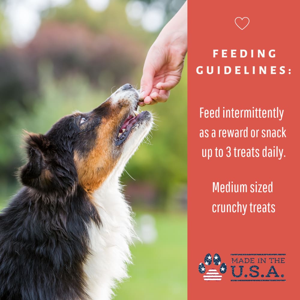 Dog Mamma’s Organic Apple Cranberry Recipe - USDA Organic