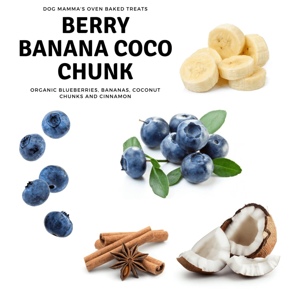 Dog Mamma’s Organic Berry Banana Coconut Recipe - USDA