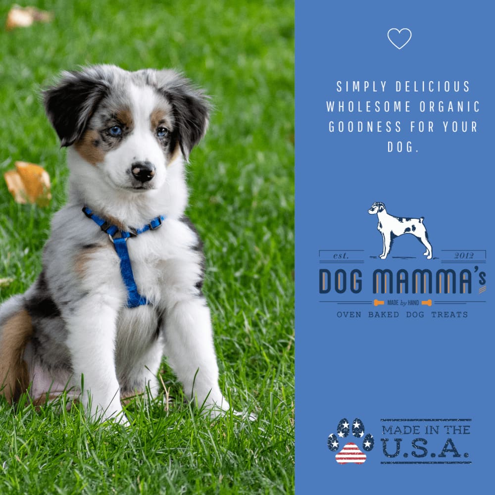 Dog Mamma’s Organic Berry Banana Coconut Recipe - USDA