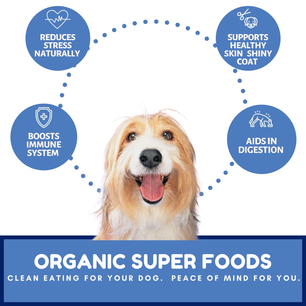 Dog Mamma’s Organic Berry Banana Coconut Recipe - USDA