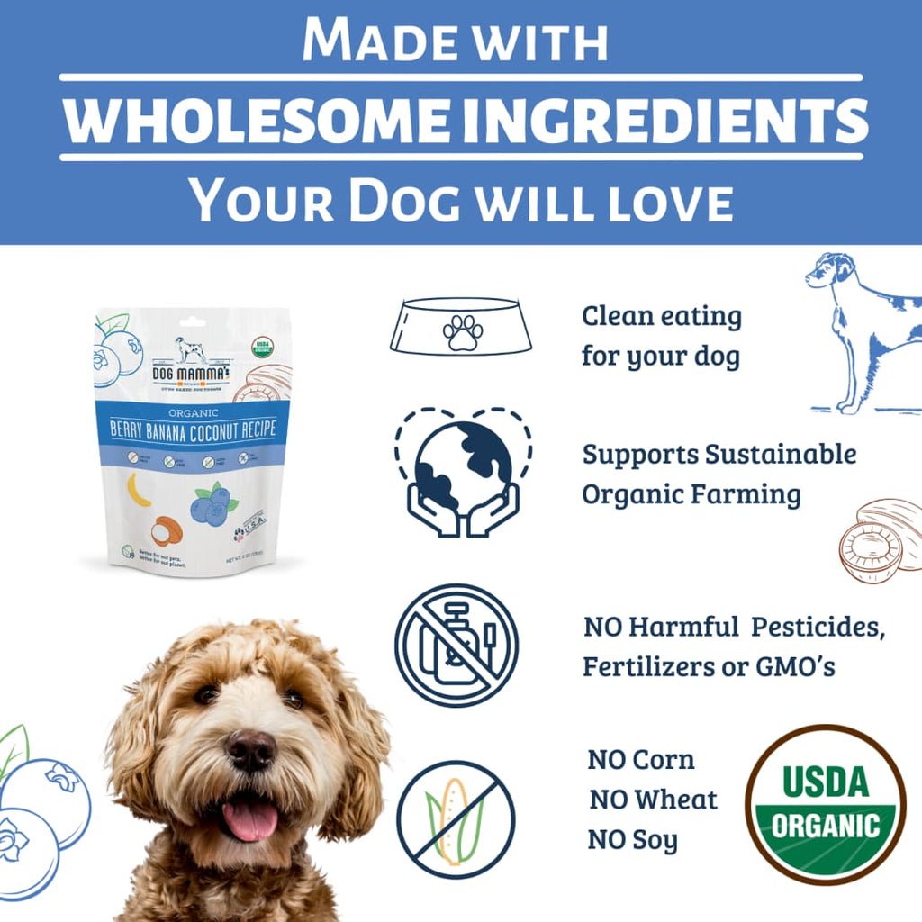 Dog Mamma’s Organic Berry Banana Coconut Recipe - USDA