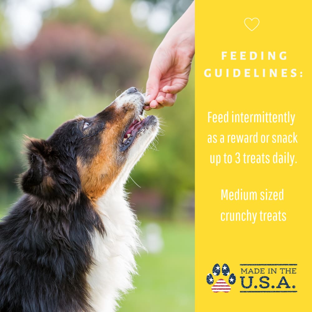 Dog Mamma’s Organic Peanut Butter Banana Recipe - USDA