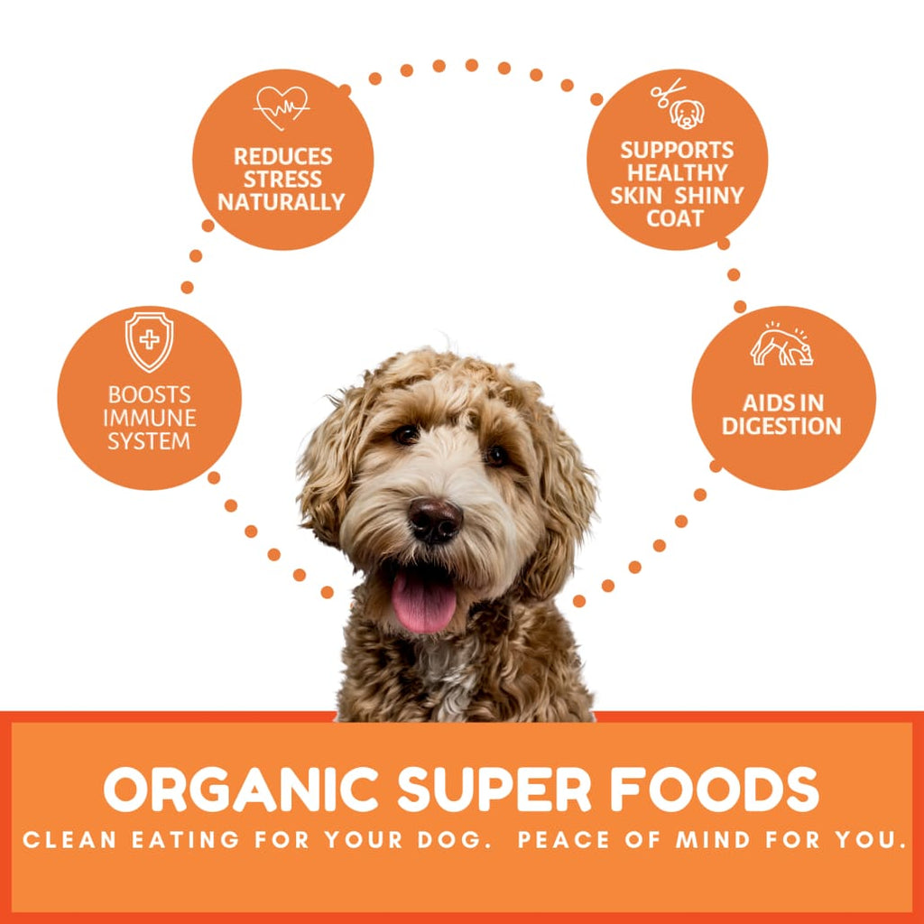 Dog Mamma’s Organic Pumpkin Snaps Recipe- USDA Organic