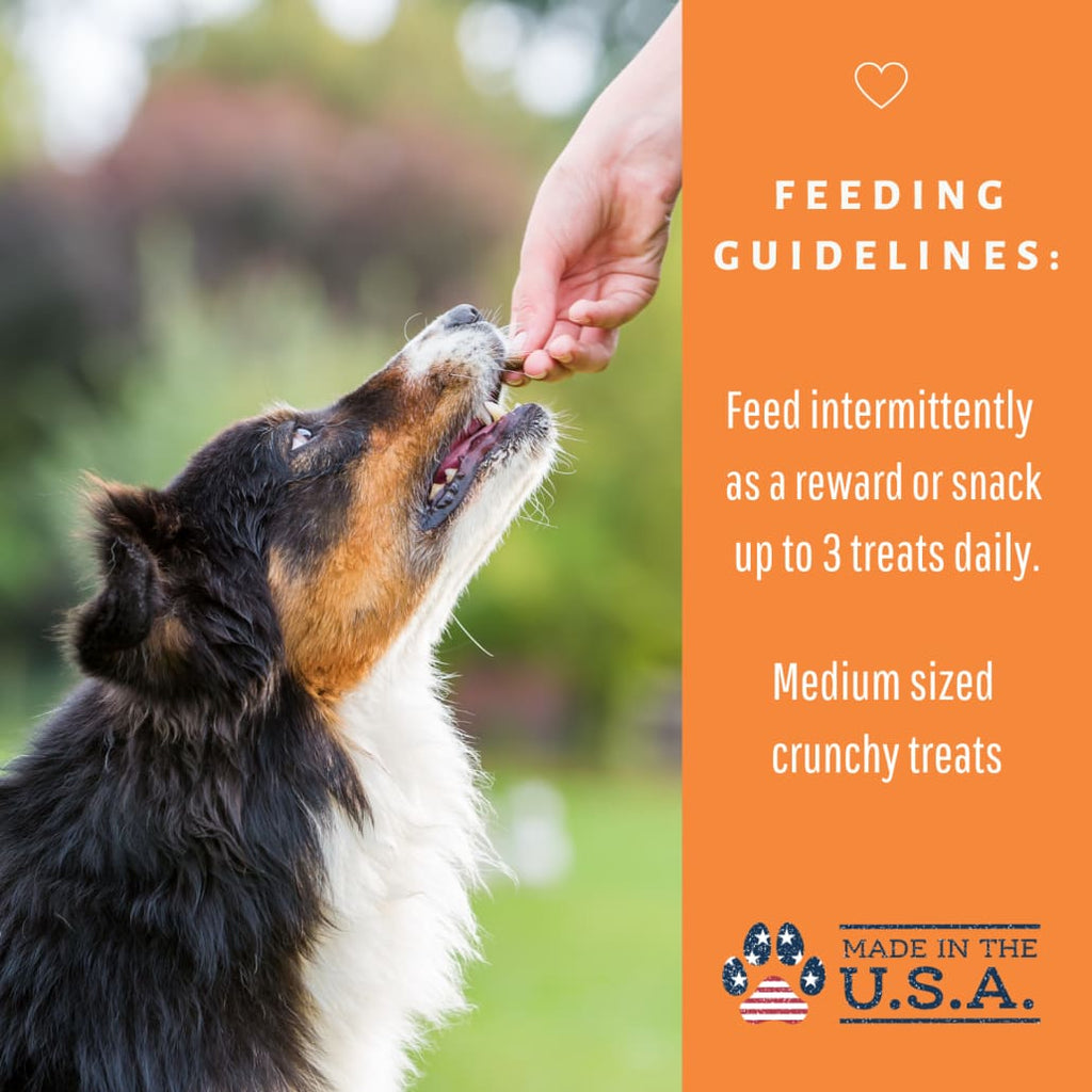 Dog Mamma’s Organic Pumpkin Snaps Recipe- USDA Organic