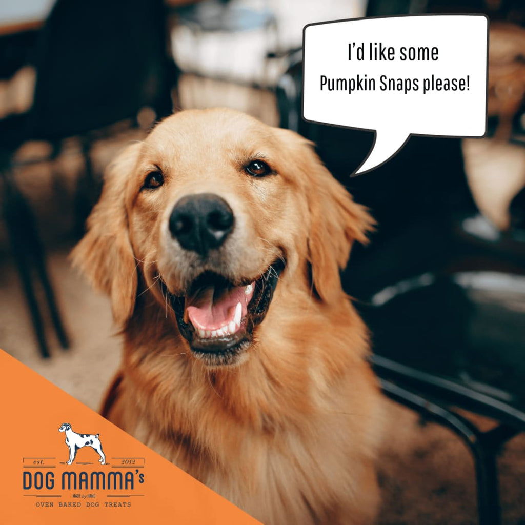 Dog Mamma’s Organic Pumpkin Snaps Recipe- USDA Organic