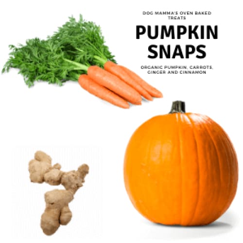 Dog Mamma’s Organic Pumpkin Snaps Recipe- USDA Organic
