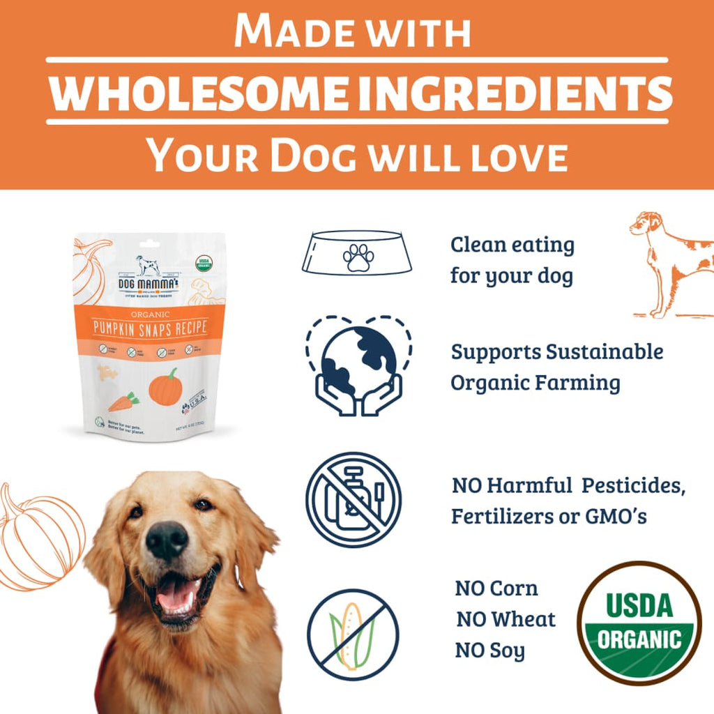Dog Mamma’s Organic Pumpkin Snaps Recipe- USDA Organic