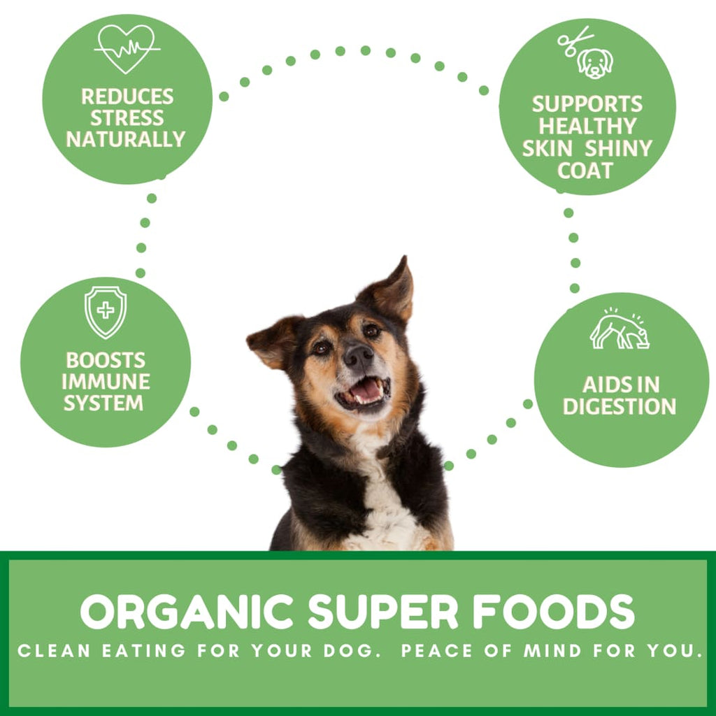 Dog Mamma’s Organic Sweet Potato & Kale Recipe - USDA