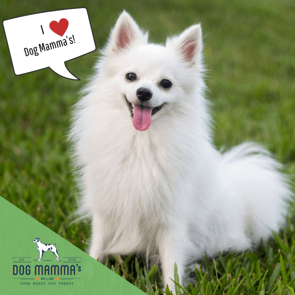 Dog Mamma’s Organic Sweet Potato & Kale Recipe - USDA