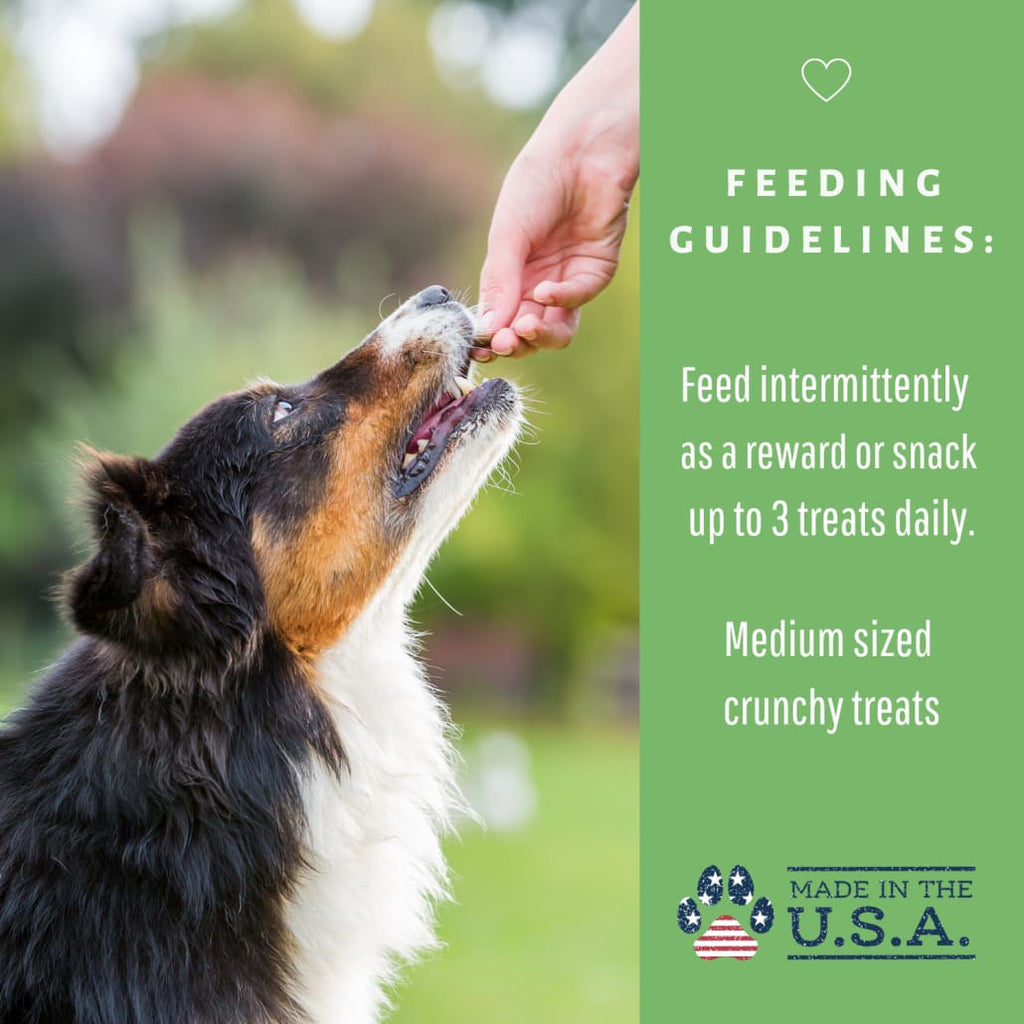 Dog Mamma’s Organic Sweet Potato & Kale Recipe - USDA