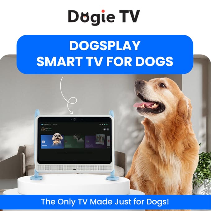 DOGSPLAY - SMART TV FOR DOGS - Dogie TV