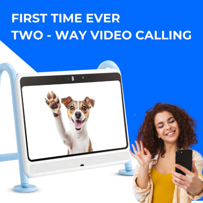 DOGSPLAY - SMART TV FOR DOGS - Dogie TV