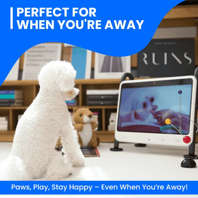 DOGSPLAY - SMART TV FOR DOGS - Dogie TV