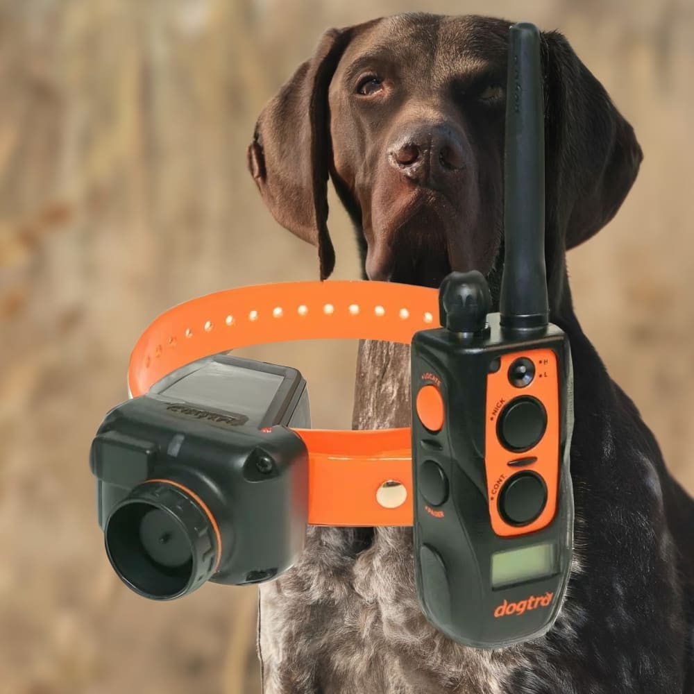 Dogtra 2700T&B Training & Beeper Collar