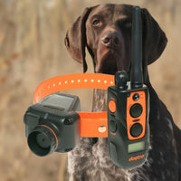 Dogtra 2700T&B Training & Beeper Collar