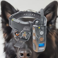 Dogtra ARC HANDSFREE Plus Boost and Lock, Remote Dog Training E-Collar