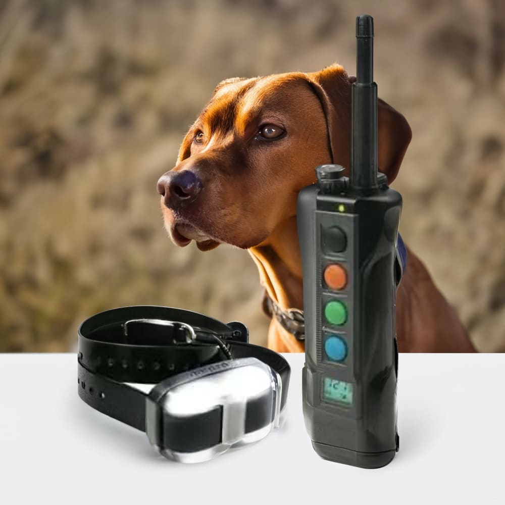 Dogtra Edge Remote Training Collar System – 1-Mile Range, Expandable To 4 Dogs