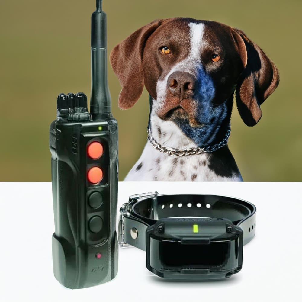 Dogtra Edge RT Trainer