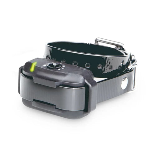 Dogtra In-Ground Dog Fence Collar - Underground